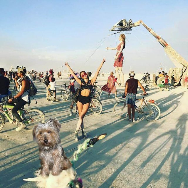 Foster blends into the Burning man scene.jpg