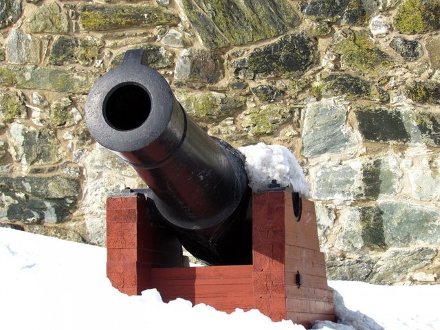 cannon-164669_960_720.jpg