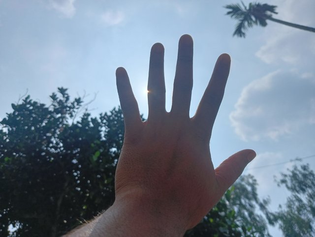 IMG20250610134357.jpg