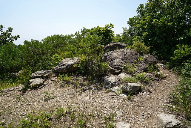 b-DSC07614.JPG