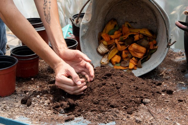 compost-still-life-concept.jpg