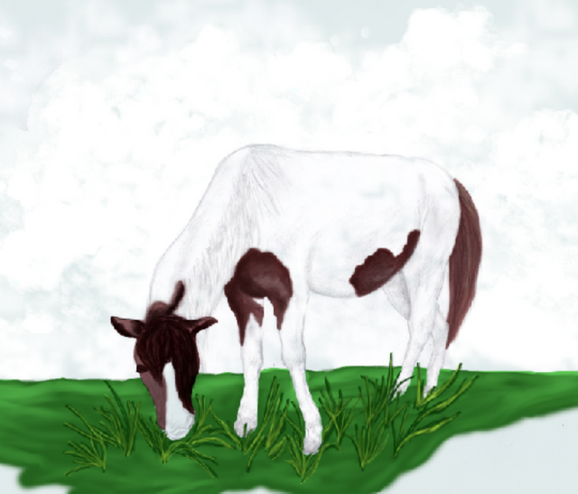 Dibujo_Caballo4.PNG