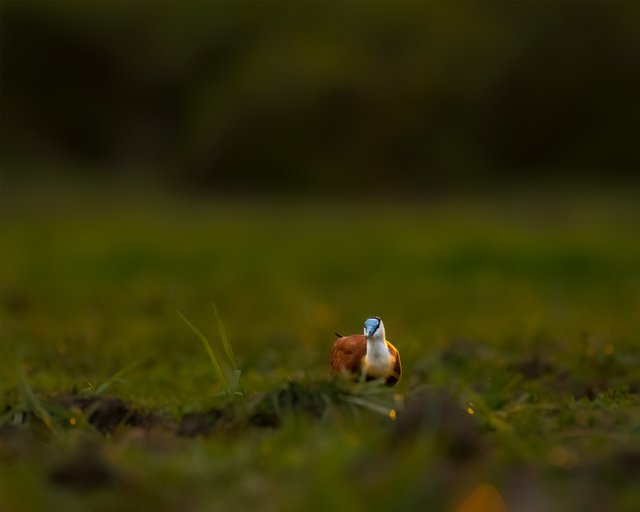 1000075616.jpg