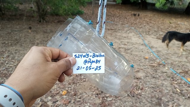 IMG_20250521_175846_1.jpg