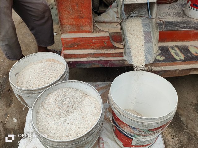 IMG20250614165741.jpg