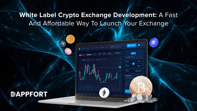 white label cryptocurrency exchange software development.jpg