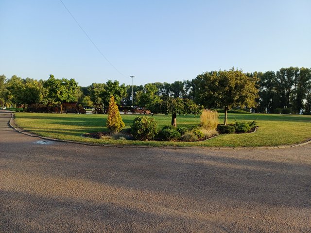 20250902_072242.jpg