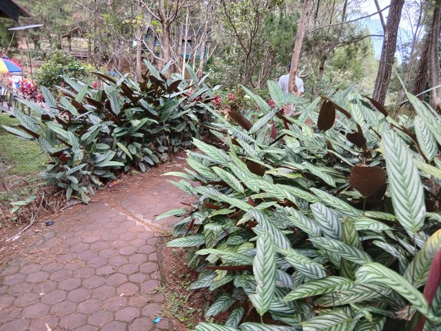 20250419_102919.jpg