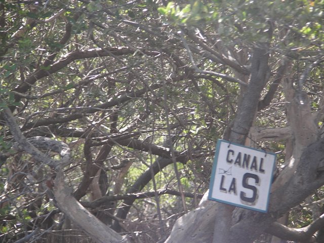 canal la s.jpg