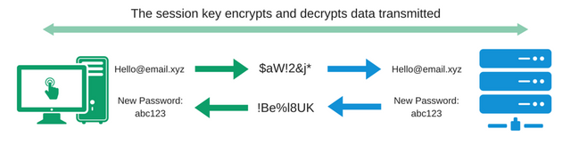 SSL-Guide-SSL-encrypted-communications-1.png