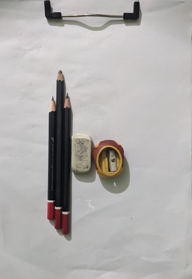 PXL_20230502_121240109.jpg