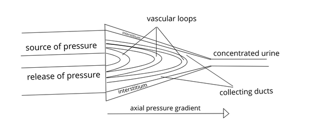 hydrostatic.png