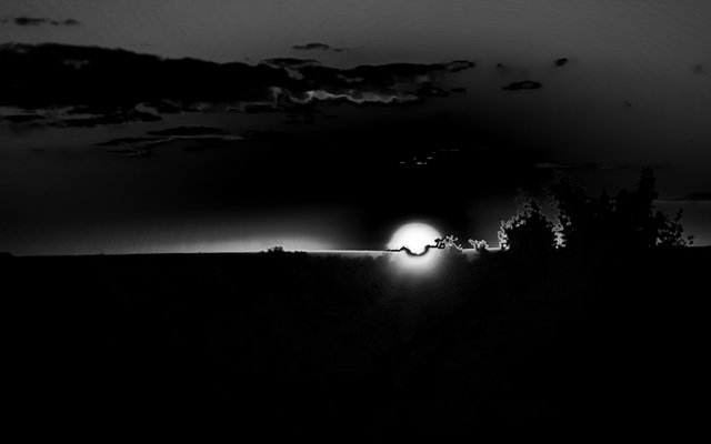 20250512_173138.jpg