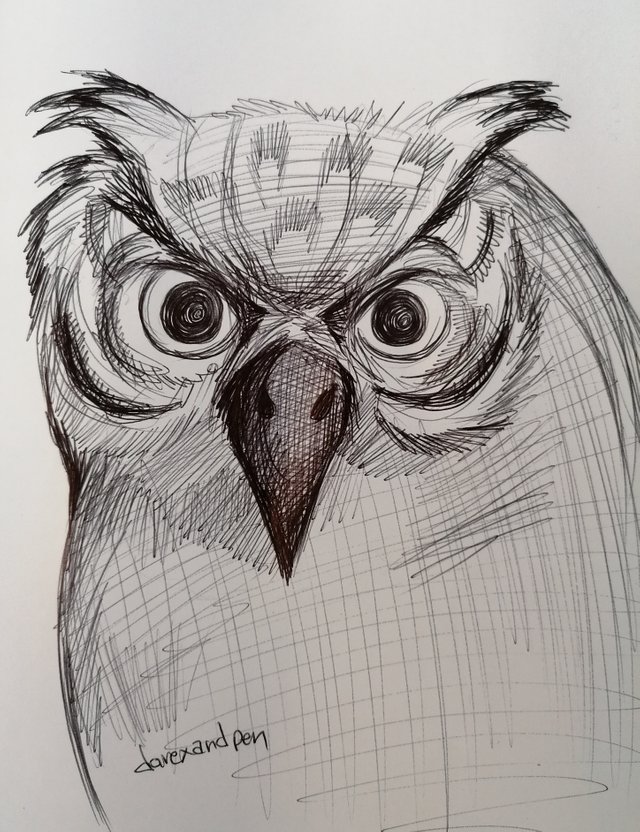 owl pen (9).jpg