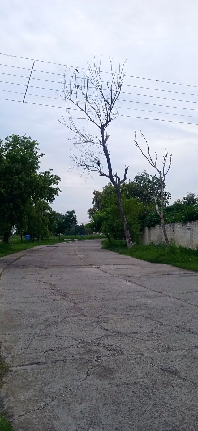 IMG_20250715_191259_1.jpg
