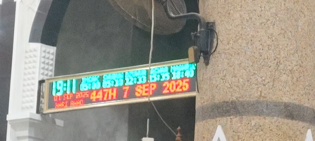 1000276484.jpg