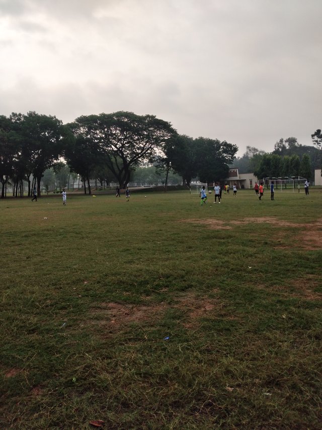 20250516_072321.jpg