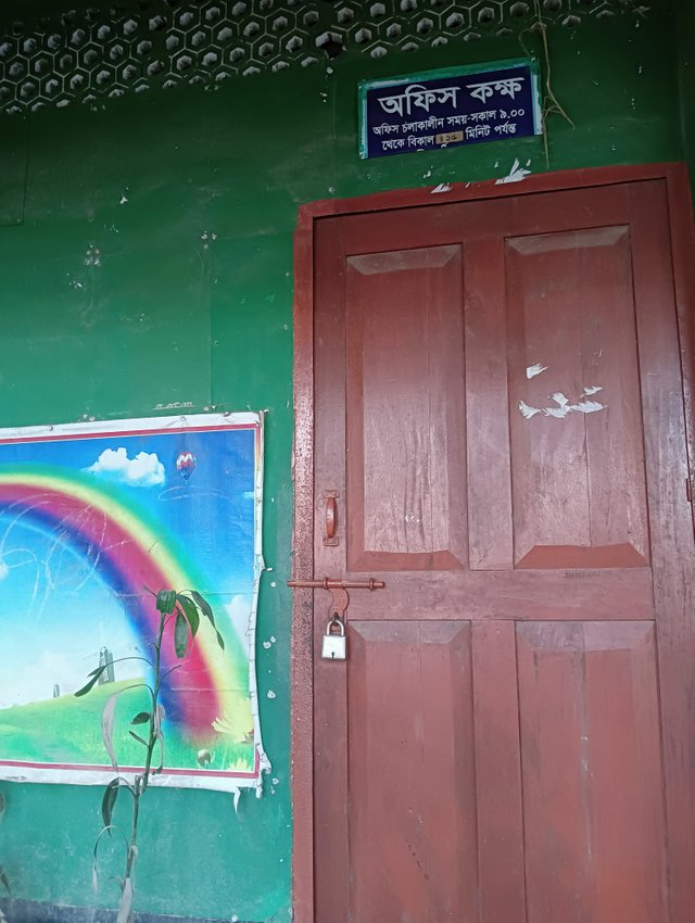 IMG20250725170016.jpg