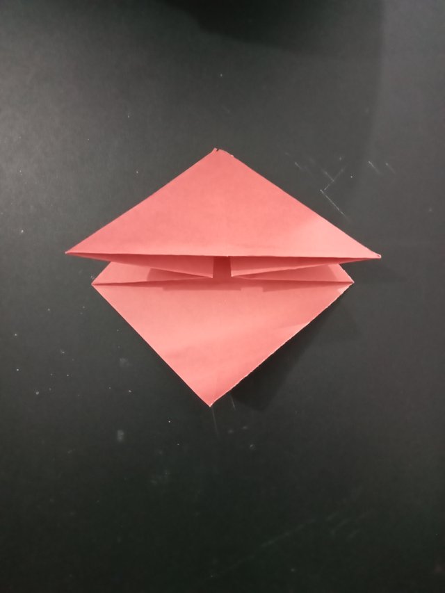 1000027656.jpg