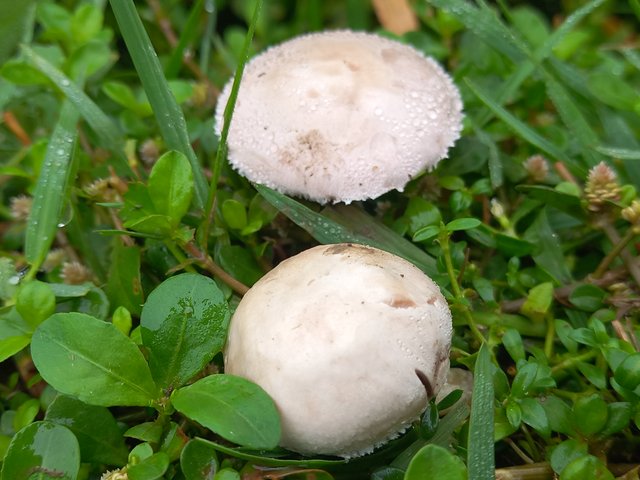 20250414_080453.jpg
