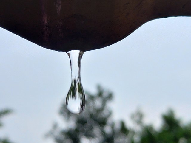 20250722_130627.jpg