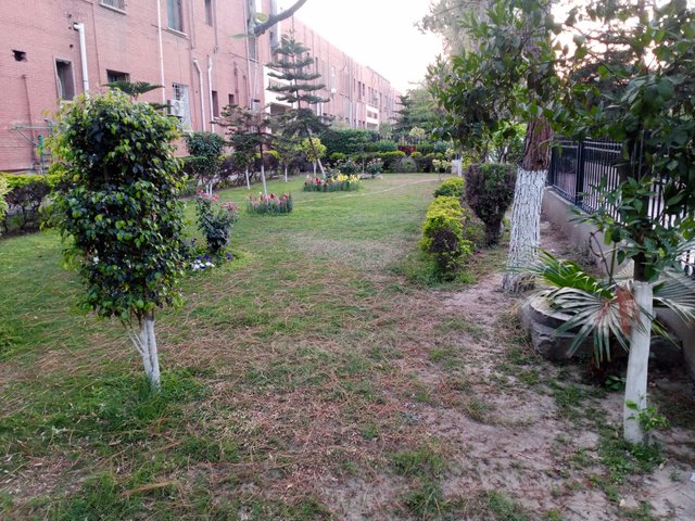 IMG_20250419_183614_538.jpg