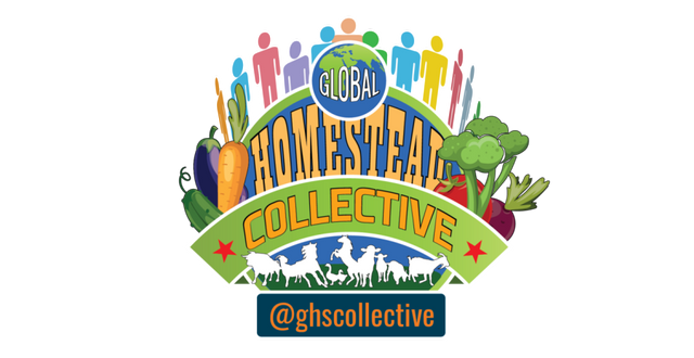 ghscollective_logo-01-1.png