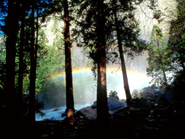 Misty Rainbow, Yosemite National Park, Californi.jpg