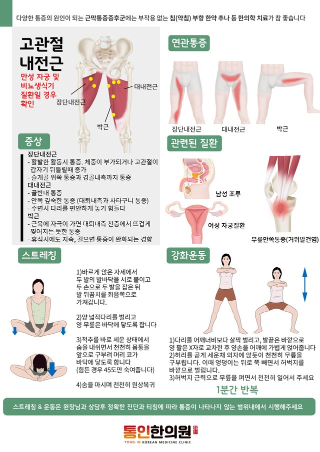 34)[근육처방전]고관절내전근.jpg