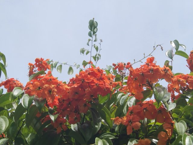 IMG_20250601_122359.jpg