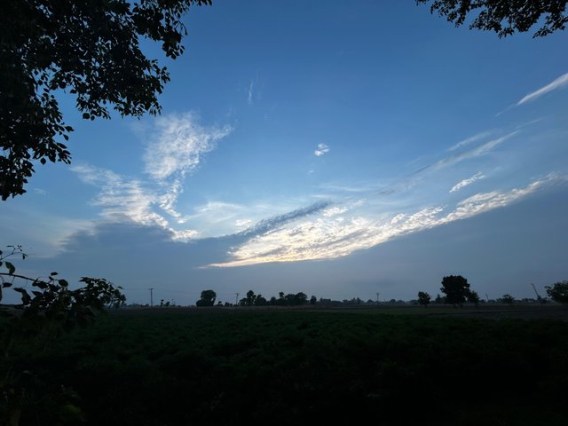 1000085973.jpg