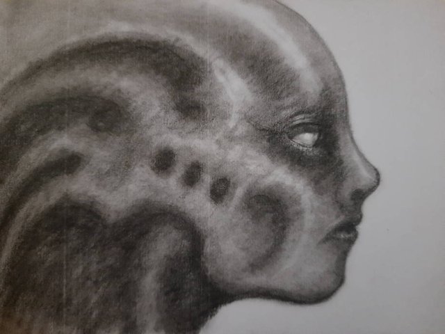 20250617_111105.jpg