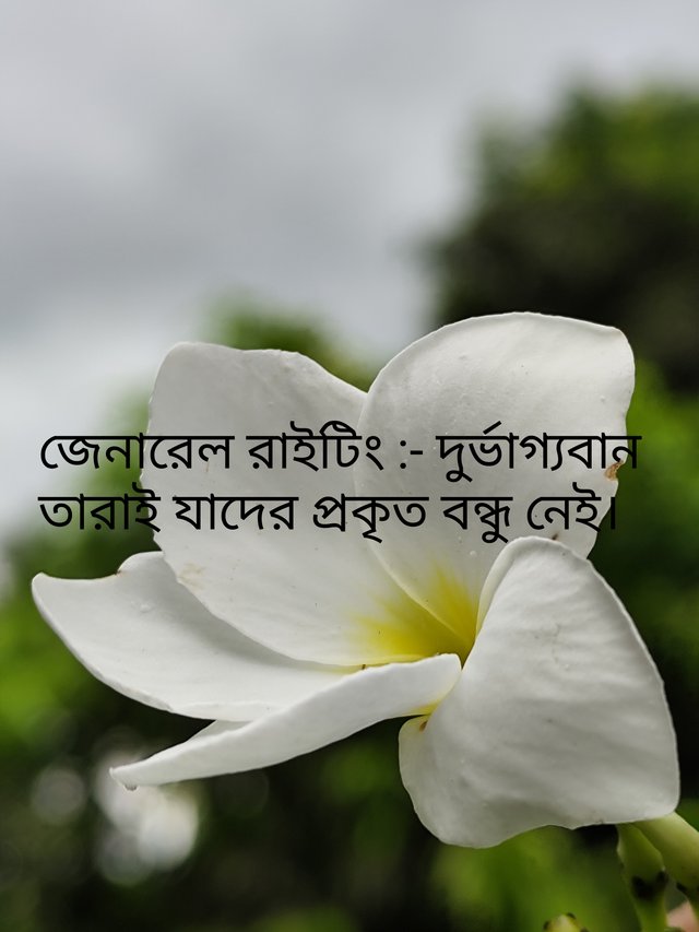 IMG_20250916_232639.jpg