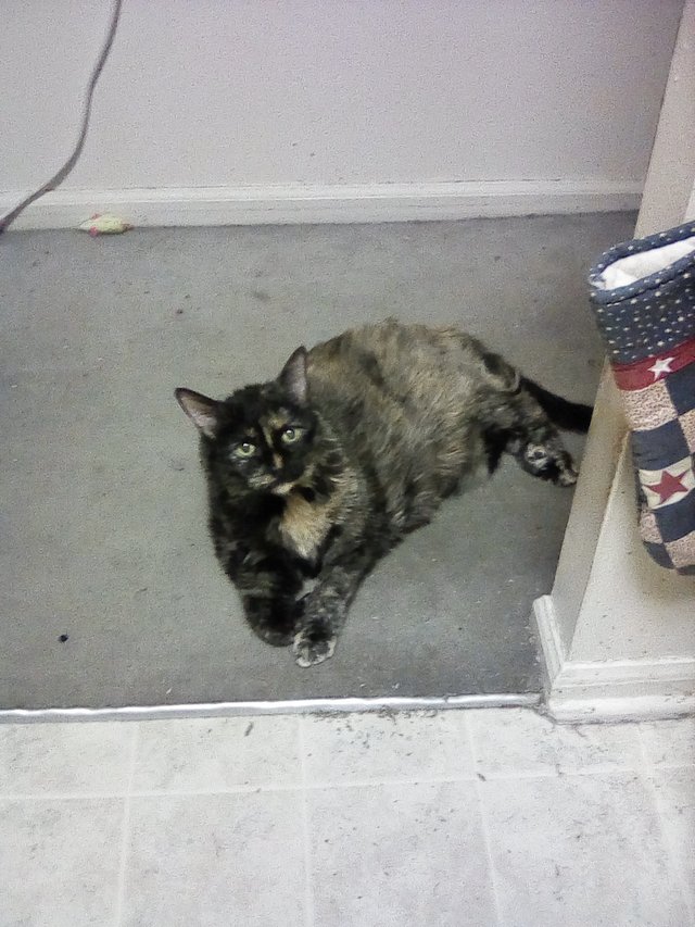 Maggie in hallway.jpg