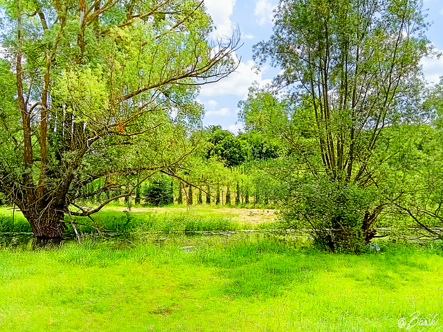 1wetIMG_20250617_131436.png