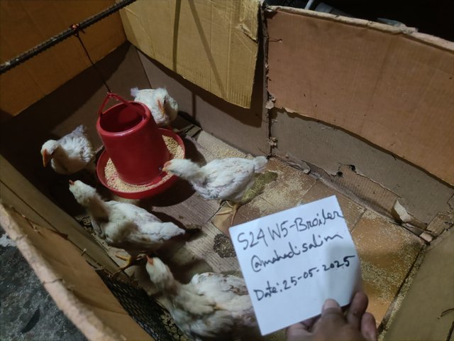 IMG20250525115019.jpg
