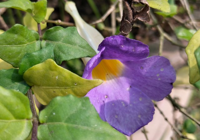 IMG_20250508_191817.jpg