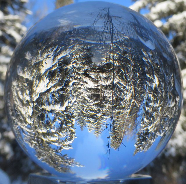 Snowy scene of trees from deck reflected in crystal globe with blue coloring.JPG