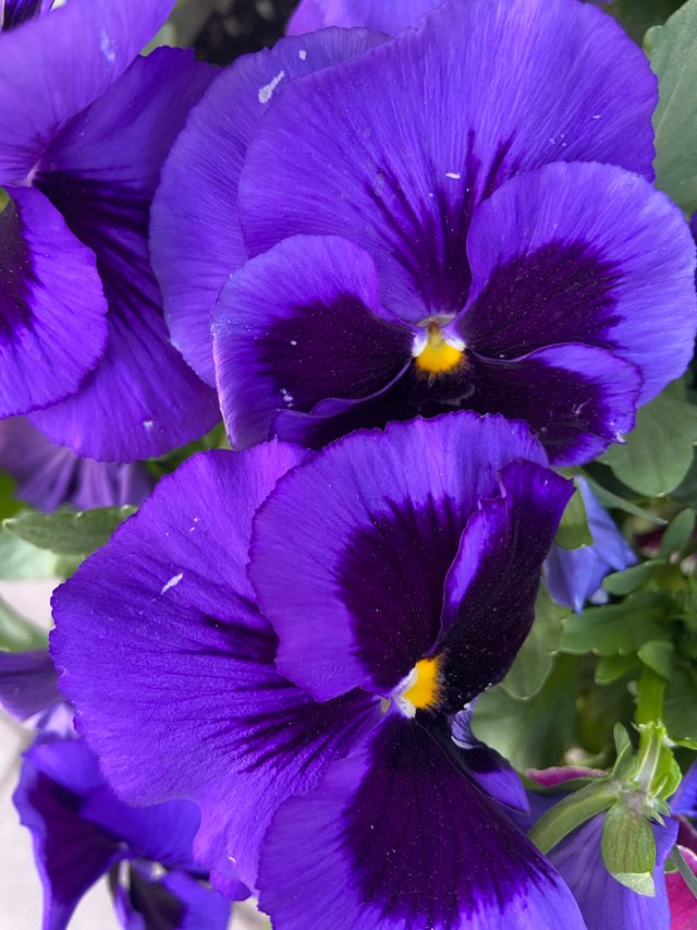 IMG7440.JPG