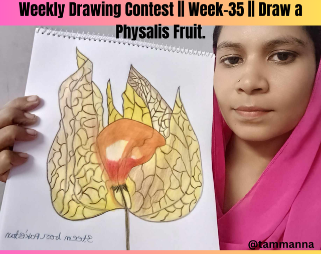 Weekly Drawing Contest  Week-35  Draw a Physalis Fruit..png