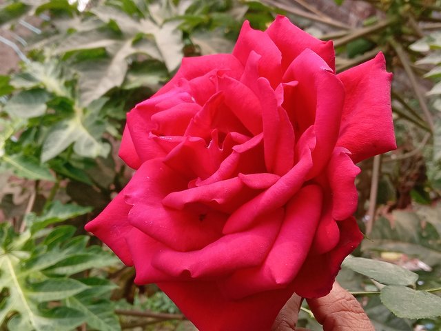 20250122_120441.jpg