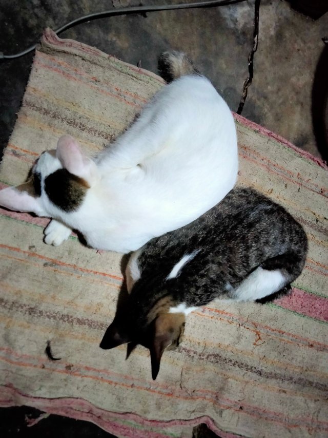 IMG20250808004910.jpg