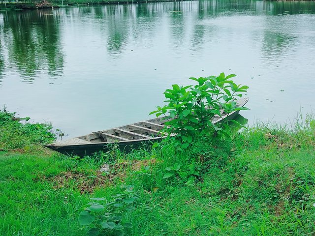 1000083583.jpg