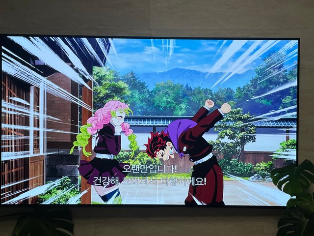 IMG_1203.jpeg