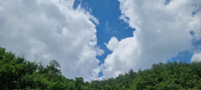 20250721_121159.jpg