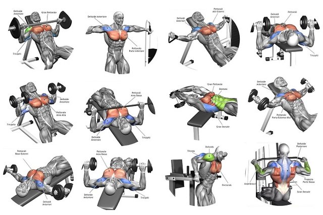 Best Chest Workout.jpg