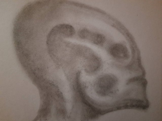 20250516_105342.jpg