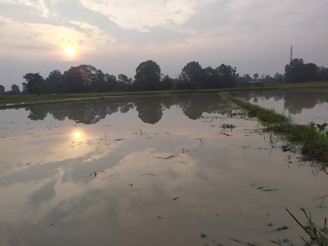 IMG_20210530_171210.jpg