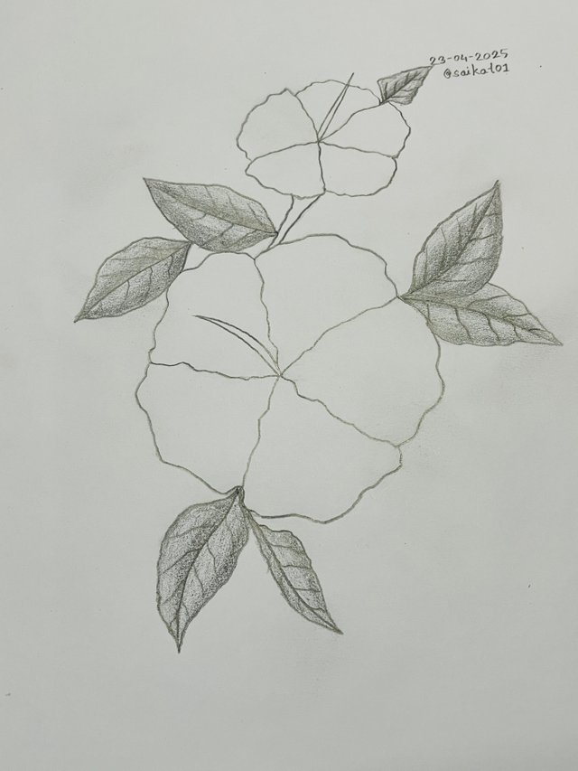 IMG_1162.jpeg