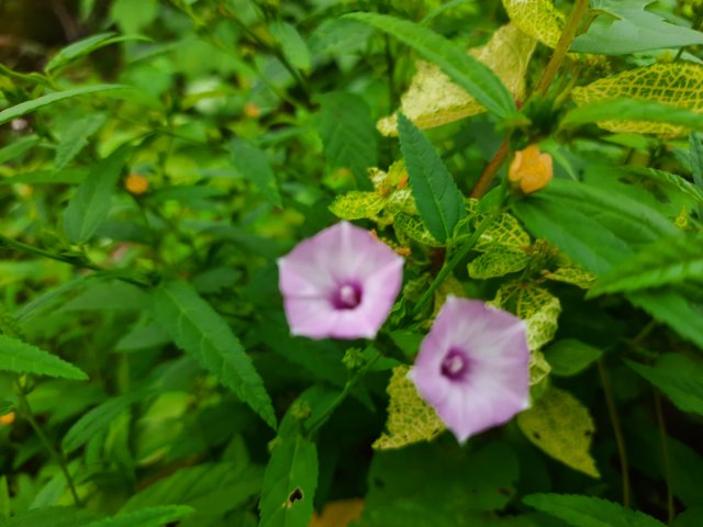 20210910_081537.jpg